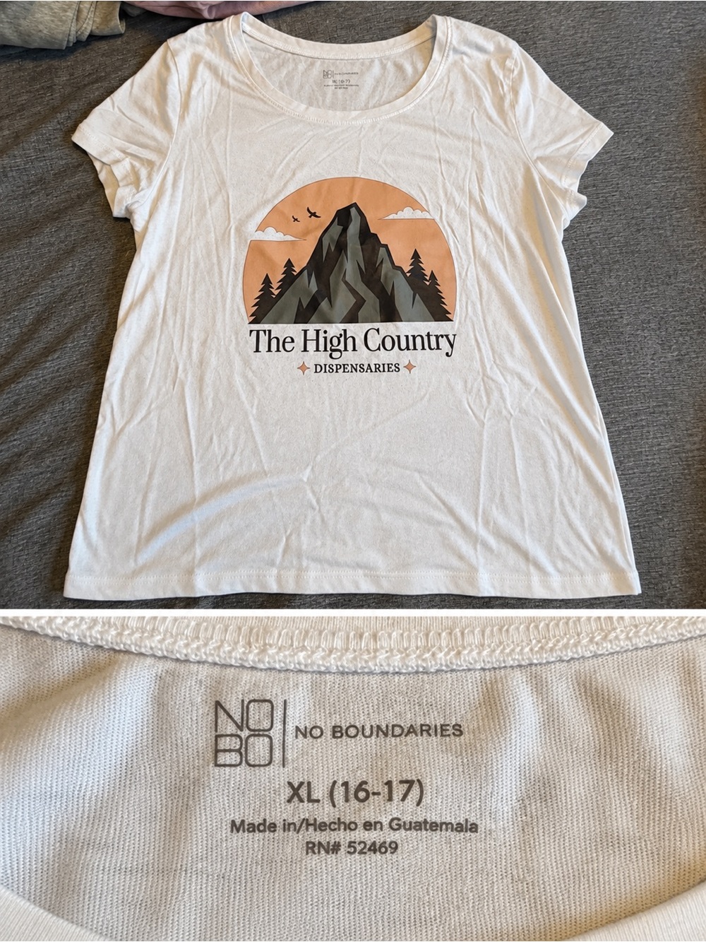 T-shirt with mountain graphic